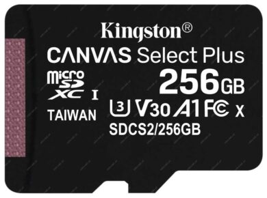 Kingston Micro SDXC 256GB  (KING256)